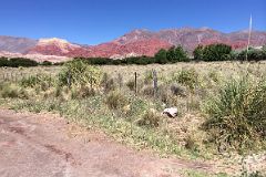 34 Colourful Hills Next To Highway 9 Driving From Tilcara To Humahuaca In Quebrada De Humahuaca.jpg